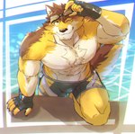 abs anthro bulge clothing countershading eyewear fingerless_gloves gloves goggles handwear male muscular muscular_anthro muscular_male one_eye_closed pecs poolside solo swimming_trunks swimwear water wink katoributa_a lifewonders live_a_hero barrel_(live_a_hero) canid canine canis mammal wolf hi_res