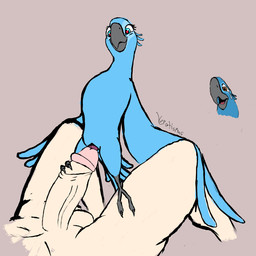 balls bestiality cuckold duo faceless_character faceless_male female female_feral female_on_human feral genitals human_on_feral humanoid_genitalia humanoid_penis imminent_sex infidelity interspecies larger_human larger_male male male/female male_on_feral offscreen_male penis simple_background size_difference smaller_female smaller_feral verotismus blue_sky_studios rio_(series) blu_(rio) jewel_(rio) avian bird human macaw mammal neotropical_parrot parrot true_parrot unfinished