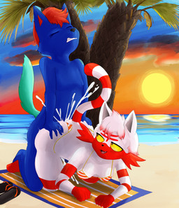 anthro beach bikini blue_body blue_fur bodily_fluids clothing cum cum_inside duo female footwear fur genital_fluids hand_on_butt male male/female nude_male sandals sea shoes sun swimwear towel two-piece_swimsuit water white_body white_fur bullelewds nintendo pokemon lewis_(sanscash) generation_7_pokemon litten pokemon_(species) shiny_pokemon shaded
