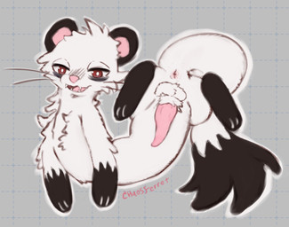 animal_genitalia anus balls dipstick_tail eye_bags feral fur genitals looking_at_viewer male markings penis presenting solo tail tail_markings tapering_penis white_body chaosferret jester_(squigglydraws) mammal mustelid musteline true_musteline hi_res