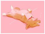 collar eyes_closed feral male on_ground red_collar simple_background sleeping solo sky_x_space cowboy_bebop ein_(cowboy_bebop) canid canine canis domestic_dog herding_dog mammal pastoral_dog welsh_corgi 4:3