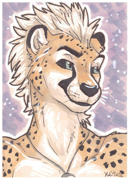 anthro male solo adlynh selreini_(character) cheetah felid feline mammal hi_res marker_(artwork) pen_(artwork) portrait traditional_media_(artwork)