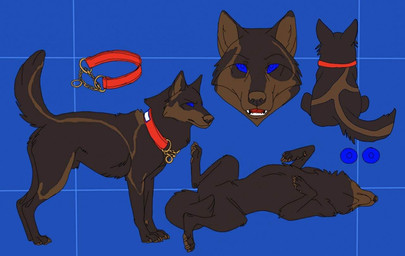 blue_eyes brown_body brown_fur collar comfort_character cuddly_character cute_character feral fur herm intersex king_cordova red_collar royalty solo original_character_do_not_steal canid canine mammal model_sheet