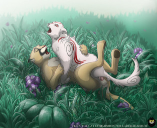 ambiguous_gender balls detailed_background digitigrade duo erection feral feral_on_feral from_front_position fur genitals lying male nature on_back on_top outside penis quadruped reverse_missionary_position sex straddling tail white_body white_fur felix_tile_the_cat capcom clover_studio okami_(capcom) amaterasu_(okami) canid canine canis cougar deity felid feline mammal wolf