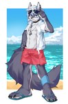 abs anthro beach clothed clothing collar ear_piercing eyewear footwear male muscular muscular_anthro muscular_male open_clothing open_shirt open_topwear pecs piercing sandals sea seaside shirt shoes solo sunglasses topwear water joeyzliaotang canid canine mammal hi_res