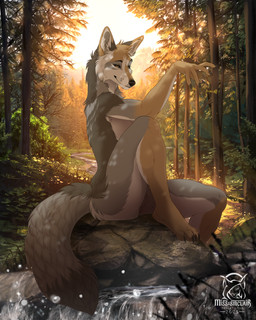 4_toes 5_fingers anthro biped black_claws breasts brown_body brown_fur brown_tail claws countershade_torso countershading day dipstick_tail feet female finger_claws fingers forest front_view fur genitals grey_body grey_fur humanoid_hands inner_ear_fluff looking_at_viewer markings nude nude_anthro nude_female outdoor_nudity outside plant plantigrade side_boob sitting sky smile smiling_at_viewer solo tail tail_markings tan_body tan_fur toe_claws toes tree tuft vulva water yellow_eyes misssinclair manzanita_(moonshinefalling) canid canine canis coyote mammal 2025 4:5 digital_drawing_(artwork) digital_media_(artwork) hi_res