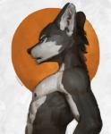 anthro athletic black_nose fur looking_away male multicolored_body multicolored_fur muscular nipples nude pecs side_view simple_background solo two_tone_body two_tone_fur luoluokun517 toothlessfan canid canine canis mammal wolf 2016 absurd_res hi_res