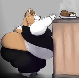 anthro barefoot belly belly_overhang belly_peeking_out big_belly big_butt bodily_fluids bottomwear brown_body brown_fur brown_hair butt butt_cleavage butt_squish chicken_meat claws clothed clothing countershade_fur countershade_torso countershading fangs fat_arms feet food fur grey_background grin hair huge_belly huge_butt ill-fitting_clothing looking_at_food looking_at_object male meat moobs morbidly_obese morbidly_obese_anthro morbidly_obese_male multicolored_body multicolored_fur obese obese_anthro obese_male overweight overweight_anthro overweight_male pants paws plate reaching scut_tail shirt short short_male short_tail side_view simple_background smile solo squish steam struggling sweat sweatdrop tail tail_motion tailwag teeth thick_thighs topwear two_tone_body two_tone_fur white_body white_fur squeeeshie theo_(corpulent_corgi) canid canine canis domestic_dog herding_dog mammal pastoral_dog welsh_corgi 2013 hi_res