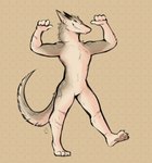 anthro athletic athletic_anthro athletic_male male piercing pose scar simple_background smile smug solo tail tattoo teeth tohfu docisco sergal hi_res