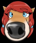 anthro black_nose blue_eyes braided_hair brown_body brown_fur close-up countershade_ears countershade_face countershading eyelashes female fisheye_lens fur hair looking_at_viewer nose_focus red_hair simple_background solo translucent translucent_hair transparent_background zoom_in seiiartworks wolf_nanaki canid canine canis mammal red_wolf wolf absurd_res alpha_channel digital_media_(artwork) hi_res trans_(lore) trans_woman_(lore)