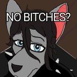 anthro bat_ears black_hair black_nose blue_eyes clothed clothing female hair humor inside looking_at_viewer profanity solo text three-quarter_view chriss_(artist) megamind_(series) no_bitches? florencia_furlain bat canid canine hybrid mammal 1:1 english_text meme