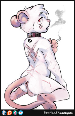 anthro anus arm_scar back_scar back_tattoo backsack balls black_border black_eyebrows black_tattoo border buckteeth cigarette cigarette_smoke claws collar collar_only eyebrow_scar eyebrows facial_scar feet finger_claws fingers genitals grey_balls grey_perineum holding_cigarette holding_object kneeling leg_markings leg_scar looking_at_viewer looking_back looking_back_at_viewer male male_anthro markings no_pupils nude nude_anthro nude_male open_mouth perineum pink_anus pink_body pink_claws pink_ears pink_feet pink_nose pink_scar pink_tail plantigrade pose rear_view red_eyes round_ears scar scars_all_over shota simple_background sitting smoke smoking smoking_cigarette socks_(marking) soles solo tail tattoo teeth three-quarter_view toes wariza white_background white_body white_sclera young young_anthro young_male raineshadowpaw mammal murid murine rat rodent full-length_portrait hi_res pinup portrait