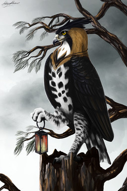 beak black_body black_feathers cloud day feathered_wings feathers lamp lantern outside overcast sky solo wings yellow_eyes ashesdrawn accipitrid accipitriform aquilinae avian bird eagle ornate_hawk-eagle 2:3 digital_media_(artwork) hi_res