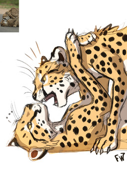 4_toes ambiguous_gender claws comparison duo feet feral fur markings open_mouth paws photo spots spotted_body spotted_fur teeth toes flashw cheetah felid feline mammal 2020 digital_media_(artwork)