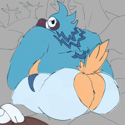 anthro beak big_butt blue_body blue_feathers butt butt_focus feathers huge_butt looking_back male multicolored_body multicolored_feathers nude rear_view sitting solo tail tail_feathers white_body white_feathers yellow_body yellow_feathers justwatchingthings breath_of_the_wild nintendo the_legend_of_zelda kass_(tloz) avian rito 1:1 digital_media_(artwork) hi_res