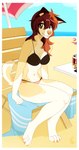 4_toes 5_fingers anthro beach bikini border breasts brown_eyes clothed clothing day detailed_background eyebrows eyelashes feet female fingers midriff navel orange_nose outside sand seaside shoreline sky smile solo swimwear toes two-piece_swimsuit water white_border wolflady danika_(wolflady) canid canine canis domestic_dog mammal 2023 digital_media_(artwork)