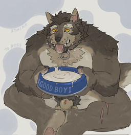 animal_genitalia animal_penis anthro bdsm beard black_body bodily_fluids bowl canine_genitalia canine_penis chest_tuft collar container cum cum_in_bowl cum_in_container facial_hair front_view genital_fluids genitals handpaw holding_bowl holding_container holding_object male milk nude pawpads paws penis pet_bowl petplay pubes roleplay scar sheath sitting solo submissive tongue tongue_out tuft yellow_sclera 3think bruno_(rossciaco) canid canine canis mammal wolf hi_res signature