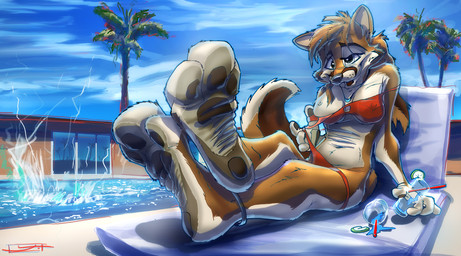 3_toes alcohol anthro barefoot beverage bikini biped black_nose breasts brown_hair brown_pawpads clothed clothing cocktail crossed_legs deep_navel feet female food foot_focus fur glass green_eyes hair hindpaw jewelry legband long_hair looking_at_viewer lying naturally_censored navel necklace nipple_tuft one_breast_out outside pawpads paws plant plantigrade poolside skimpy skin_folds sky soles solo swimming_pool swimwear tail tight_clothing toes tree tuft two-piece_swimsuit undressing water wrinkled_feet wrinkles foxer421 canid canine fox mammal