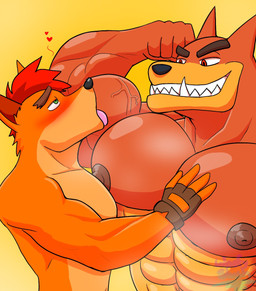 abs anthro anthro_on_anthro barazoku biceps blush brown_hair clothing duo eyebrows fangs fingerless_gloves fist flexing flexing_bicep fur gloves gloves_only green_eyes grin hair handwear handwear_only heart_symbol larger_male licking licking_bicep male male/male manly mostly_nude muscular muscular_anthro muscular_arms muscular_male musk nipples orange_body orange_fur pecs red_eyes red_hair sharp_teeth size_difference smaller_male smile tan_body tan_fur teeth thick_eyebrows tongue tongue_out underbite vein veiny_muscles woofyslush activision crash_bandicoot_(series) crash_bandicoot tiny_tiger bandicoot dasyuromorph mammal marsupial recently_extinct_species thylacine 2025 hi_res