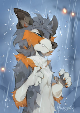 anthro biped claws countershade_torso countershading fingers front_view fur hair male nude nude_anthro nude_male outside raining solo standing teeth wet reysi canid canine canis domestic_dog mammal 2026 digital_drawing_(artwork) digital_media_(artwork)