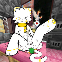 anal anal_fluids anal_orgasm anal_penetration anus artist_furryhzymc bodily_fluids buttplug character_hzy cucumber cum cum_while_penetrated ejaculation feral food fruit gaping gaping_anus genital_fluids genitals hands-free incontinence male masturbation muffler orgasm pawpads paws penetration penis plant plug_(sex_toy) sex_toy shake solo microsoft minecraft mojang xbox_game_studios domestic_cat felid feline felis mammal