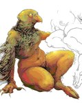 anthro body_hair curvy_figure female overweight slightly_chubby molvno avian bird falcon falconid hi_res sketch sketch_page