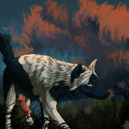 animal_genitalia animal_penis black_body black_fur blue_eyes canine_genitalia canine_penis detailed_background erection feral fur genitals knot looking_at_viewer male multicolored_body multicolored_fur penis solo text two_tone_body two_tone_fur white_body white_fur msdeadsoul canid canine canis mammal wolf 1:1 2022 artist_name dated hi_res