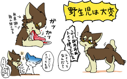 ambiguous_gender blood bodily_fluids countershading duo eating feral food fur implied_watersports japanese meat raised_leg semi-anthro text ayaka fuuga canid canine canis domestic_dog hybrid mammal wolfdog 2019 japanese_text translated