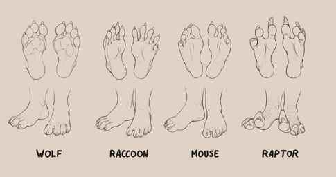 3_toes 4_toes 5_toes ambiguous_gender anatomy anthro barefoot biped claws feet foot_focus foot_shot group multiple_angles pawpads plantigrade scaled_feet scales soles text toe_claws toes kalahari canid canine canis dinosaur dromaeosaurid mammal mouse murid murine prehistoric_species procyonid raccoon reptile rodent saurischian scalie theropod wolf absurd_res english_text hi_res monochrome multiple_images species_name