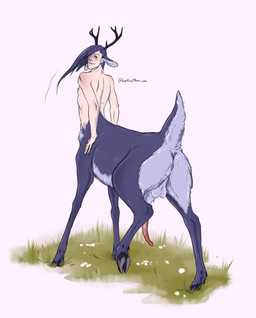 animal_genitalia animal_penis antlers anus backsack balls blush butt cervine_genitalia cervine_penis erection fur genitals hair hooves horn looking_at_viewer looking_back male male_taur nude nude_male nude_taur penis pink_background presenting presenting_hindquarters purple_body purple_fur purple_hair rear_view scut_tail sheath short_tail simple_background solo tail lykostherium deer deer_taur humanoid_taur mammal mammal_taur taur hi_res