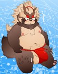 anthro asian_clothing balls belly blush brown_body brown_fur bulge clothing east_asian_clothing fundoshi fur genitals humanoid_hands japanese_clothing kemono male moobs navel nipples overweight overweight_male penis red_clothing red_fundoshi red_underwear solo underwear young young_anthro rio_(artist) lifewonders tokyo_afterschool_summoners goemon_(tas) canid canine mammal raccoon_dog tanuki 2021 hi_res