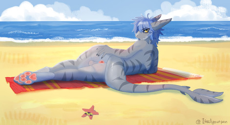 anthro balls beach blue_hair butt femboy genitals hair hand_on_butt lying male markings on_side paws presenting solo spread_butt spreading striped_markings stripes tail garona aquatic fish requiem_shark shark tiger_shark hi_res