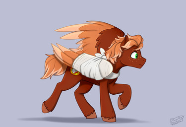 broken_wing brown_body brown_feathers cast feathered_wings feathers feet fur green_eyes hair hooves mane medical_sling short_hair short_tail solo tail tan_body tan_feathers toes wings rutkotka hasbro my_little_pony mythology golden_flare equid equine horse mammal mythological_creature mythological_equine pegasus pony absurd_res hi_res nonbinary_(lore)