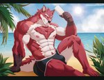 abs anthro beach biceps bikini body_hair bottomwear bulge chest_hair chest_tuft clothing cloud detailed_background detailed_bulge food fur genital_outline male muscular muscular_anthro muscular_male nipples outside penis_outline popsicle red_body red_fur sand seaside sky solo sun swimwear teacher tuft two-piece_swimsuit uiokv knights_college diederich_olsen canid canine mammal hi_res