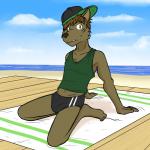 anthro baseball_cap beach biped bulge clothed clothing hat headgear headwear kneeling male navel seaside shirt sideways_baseball_cap solo speedo swimwear tank_top topwear towel fuze luis_(fuze) canid canine mammal 1:1 hi_res