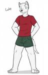 absurd_res anthro bottomwear canid canine character_name clothed clothing fully_clothed fuze hi_res luke_(texnatsu) male mammal shirt shorts simple_background solo t-shirt texnatsu topwear white_background