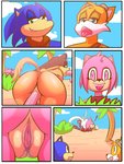 amy_rose anthro badger bodily_fluids butt canid canine clothed clothing comic eulipotyphlan fellatio female female_penetrated fox fur genital_fluids genitals heart_eyes heart_symbol hedgehog male male/female male_penetrating male_penetrating_female mammal miles_prower mustelid musteline open_mouth oral oral_penetration outside penetration penile penis pink_body pink_fur pink_tongue sega sex sonic_boom sonic_the_hedgehog sonic_the_hedgehog_(series) sticks_the_jungle_badger tigerfestivals tongue vaginal vaginal_fluids vaginal_penetration