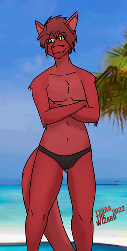 andromorph anthro arm_tuft beach biped brown_clothing brown_speedo brown_swimwear butt butt_from_the_front closed_smile clothed clothing collarbone countershade_fur countershade_neck countershade_tail countershade_torso countershading crossed_arms detailed_background elbow_tuft eye_through_hair eyebrow_through_hair eyebrows fingers flesh_fang front_view fur green_eyes hair intersex looking_at_viewer mouth_closed navel outside palm_tree pecs plant pointy_ears prick_ears pupils red_body red_countershading red_fur red_hair sand sea seaside short_hair shoulder_tuft sky slit_pupils smile snout solo speedo speedo_only standing summer swimwear tail tapering_tail text topless translucent translucent_hair tree tuft underwear underwear_only water terrathewizard mythology terra_(terrathewizard) canid canine canis dragon furred_dragon furred_scalie hybrid mammal mythological_creature mythological_scalie scalie wingless_dragon wolf 2022 artist_name dated digital_drawing_(artwork) digital_media_(artwork) mixed_media photography_(artwork)