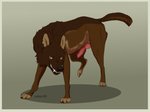 animal_genitalia animal_penis border brown_body brown_fur canine_genitalia canine_penis feral fur genitals knot male penis simple_background solo yellow_background yellow_border jackkdaw canid canine canis mammal wolf 2019