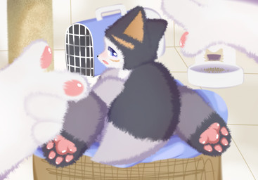 anthro black_body black_fur blue_eyes blush butt female fox_tail fur grey_body grey_fur multicolored_body multicolored_fur pawpads paws rear_view solo white_body white_fur shiningcanc canid canine fox mammal hi_res