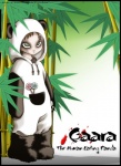 bamboo bamboo_tree boots border candy clothed clothing costume dessert feral food footwear frown fully_clothed fursuit green_eyes hair lollipop male no_pupils not_furry_wearing_fursuit panda_costume plant pockets shoes short_hair solo standing text tree spade13th naruto gaara bear giant_panda human mammal 2005 character_name english_text grandfathered_content