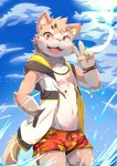 anthro beach blush bottomwear bracelet clothing fur gesture grey_body grey_fur hand_gesture jewelry kemono male navel partially_submerged seaside shorts sleeveless_hoodie solo standing v_sign water young young_anthro meowolf222 lifewonders tokyo_afterschool_summoners sitri_(tas) domestic_cat felid feline felis mammal hi_res portrait three-quarter_portrait