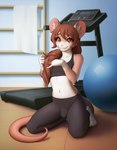 amber_eyes anthro athletic_wear ball big_ears bottomwear bra brown_hair bulge clothed clothing curling_tail detailed_background exercise_ball exercise_equipment femboy fur hair inside kneeling long_hair long_tail looking_at_viewer male midriff navel pants playing_with_hair ponytail ponytail_over_shoulder smile solo sports_bra sportswear tail treadmill underwear white_body white_fur yoga_pants sogolina charlie_(mousetrapped) mammal mouse murid murine rodent digital_media_(artwork) hi_res shaded story story_at_source story_in_description