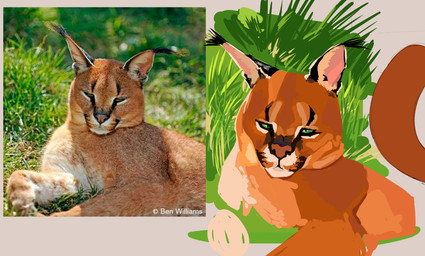 ambiguous_gender black_ears black_eyes brown_body brown_fur brown_nose brown_tail feral front_view fur grass green_sclera half-closed_eyes looking_at_viewer multicolored_body multicolored_fur narrowed_eyes on_grass on_ground outside plant solo tail sushiamazing caracal caracal_(genus) felid feline mammal 2025 absurd_res digital_media_(artwork) hi_res