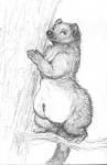 belly big_belly female feral nude obese obese_female obese_feral overweight overweight_female overweight_feral plant semi-anthro solo standing tree oddwilds third-party_edit unknown_editor gulonine mammal marten mustelid musteline animated loop monochrome short_playtime