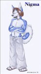 anthro beard black_nose blue_body blue_fur bottomwear brown_beard brown_facial_hair brown_hair choker clothed clothing crossed_arms curled_tail facial_hair feet fur grey_bottomwear grey_clothing grey_pants grey_sweatpants hair hindpaw jewelry looking_at_viewer male navel necklace pants paws plantigrade simple_background smile snout solo standing sweatpants tail topless white_background white_body white_fur white_inner_ear m.r. nigma_(character) canid canine canis domestic_dog husky mammal nordic_sled_dog spitz 2001 character_name colored_pencil_(artwork) full-length_portrait portrait shaded traditional_media_(artwork)