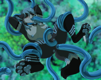 anal anal_penetration anthro anus areola big_breasts black_nose blue_anus blue_areola blue_collar blue_nipples blue_pawpads blue_vulva blush breasts claws clitoral_hood clitoris collar collar_only consentacles eyes_closed fangs female fur genitals hair looking_pleasured midair multicolored_body multicolored_fur nipples nude open_mouth oral oral_penetration pawpads paws penetration restrained restrained_by_tentacles short_hair snout solo spread_legs spreading teeth tentacle_in_ass tentacle_in_mouth tentacle_in_vagina tentacle_penetration tentacles thick_thighs tongue tongue_out vaginal vaginal_penetration vulva lawkie canid canine canis mammal wolf 2026 colored digital_drawing_(artwork) digital_media_(artwork) hi_res shaded