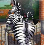 anthro anus backsack balls butt equine_anus genitals glistening glistening_anus looking_at_viewer looking_back looking_back_at_viewer male nude presenting presenting_hindquarters puffy_anus solo tail tail_anus derickk76 dreamworks madagascar_(series) marty_the_zebra equid equine mammal zebra absurd_res hi_res