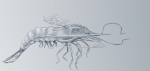 alternative_fashion ambiguous_gender exhaust feral gear machine multi_leg multi_limb solo steampunk whiskers oonami arthropod crustacean marine prawn robot shrimp 2012 blue_and_white hi_res monochrome