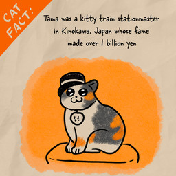 ambiguous_gender calico_pattern clothing feral hat headgear headwear kepi looking_at_viewer medallion sitting solo text uniform wearing_hat caroline_quach exploding_kittens wakayama_electric_railway_co_ltd honorary_eternal_stationmaster_tama calico_cat deity domestic_cat felid feline felis mammal 1:1 english_description english_text hi_res official_art female_(lore)